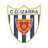 Izarra