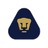 Pumas