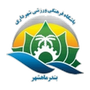 Shahrdari M.
