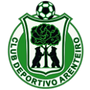 CD Arenteiro logo