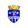 Edineţ