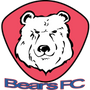 Bears