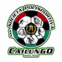 Cailungo
