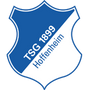 1899 Hoffenheim logo