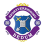 Bedum