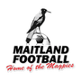 Maitland