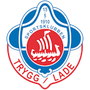 Trygg / Lade
