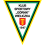 Górnik Wieliczka