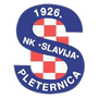 Pleternica