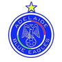 Blue Eagles