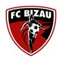 Bizau