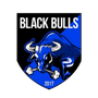 Black Bulls