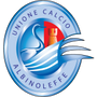 Albinoleffe logo