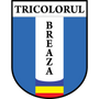 Tricolorul