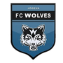 Jõgeva Wolves