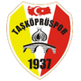 Taşköprü