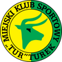 Tur Turek