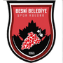 Besni Akınspor