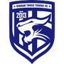 Wuhan Three Towns FC Under 21