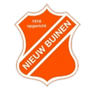 Nieuw Buinen