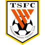 Shandong Taishan FC B