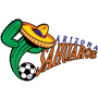 Arizona Sahuaros
