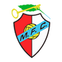 Merelinense