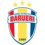 Grêmio Barueri