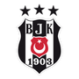 Beşiktaş J.K. logo