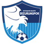 Erzurumspor Futbol Kulübü logo