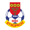 MSK Tesla Stropkov