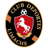 Deportes Limache