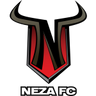 Toros Neza