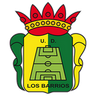 Barrios