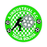 Industrial FC Avilés