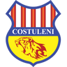 Costuleni