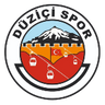 Düziçispor