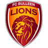 Bulleen Lions