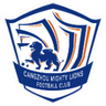 Cangzhou Lions