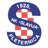 NK Slavija Pleternica