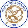 Bursa Kültür