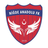 Niğde Anadolu