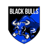 Black Bulls Maputo