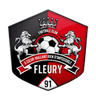 Fleury 91