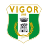 Vigor Lamezia