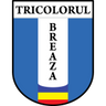 Tricolorul