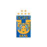 Tigres UANL Under 17