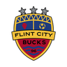 Flint City Bucks