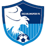 Erzurumspor Futbol Kulübü