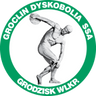 Dyskobolia Grodzisk SSA